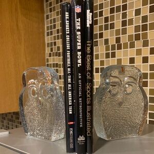 Glass Owl Bookends